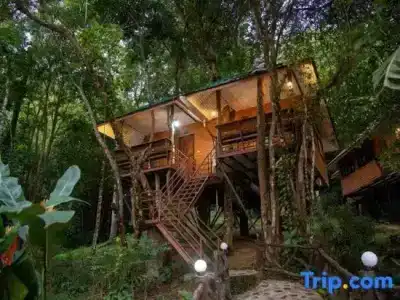 Khaosok Rainforest Resort - 180