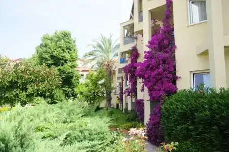 Queen's Park Le Jardin - 46