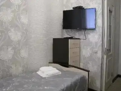 Шелк - 25