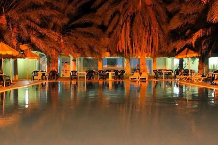 Sun Palm - 40