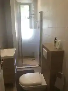 Пальма - 31