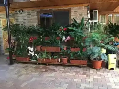 Софи Мими - 9