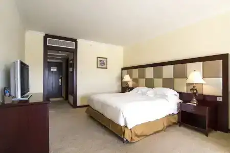 Grand Excelsior - 84