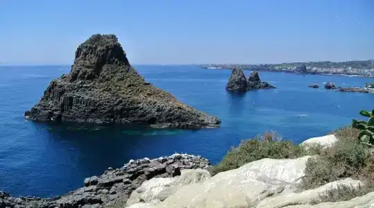 Il Cavalluccio Marino Fronte Mare - 22