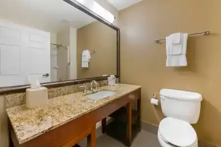 Comfort Suites - 55