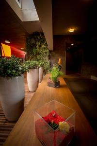 Royal - Luxury, Résidence, Beach & Spa - 14