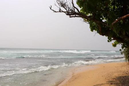 Mirissa Dive Resort - 19