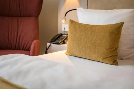 First Inn Zwickau - 68