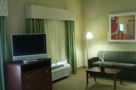 Hampton Inn & Suites I-20 - 50