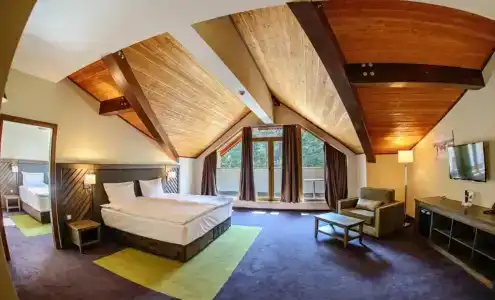 Hot Springs Medical And Spa - 44