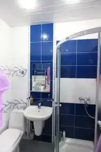 Висс - 21