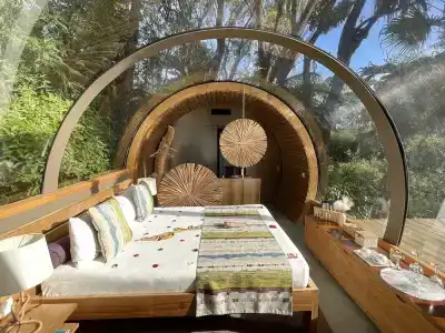Bubble Bois Chéri - 10