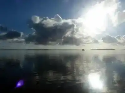 Chillpill - 45