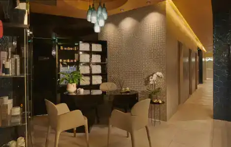 Párisi Udvar Budapest, part of Hyatt - 28
