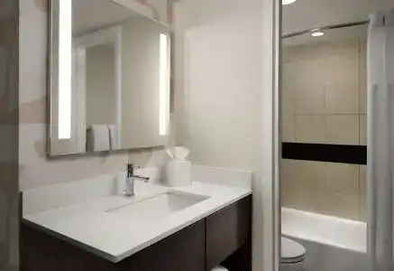 Sonesta ES Suites Chicago Downtown Magnificent Mile - 9