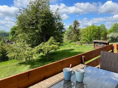 Berg-Hohegeiß Gesundheitshotel - 33