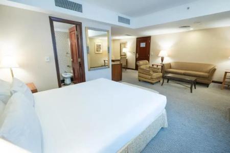 Melia Buenos Aires - 131