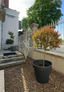 Best Western Blois Château - 20