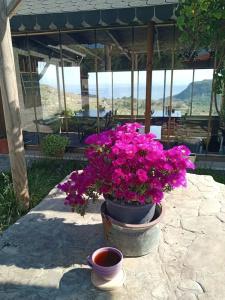 Sari KeÇİ TaŞ Otel - 20