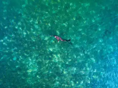 Phangan Island View - Sha Extra Plus - 17