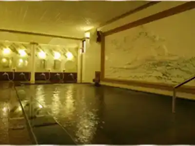 Ryokan Tatami - 17