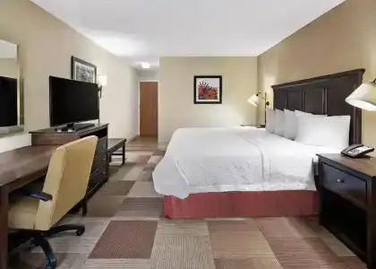 Hampton Inn Dallas-Irving-Las Colinas - 43