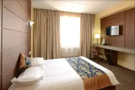 Zolo - 24