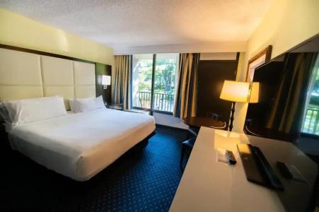 Holiday Inn Regency, An Ihg - 84