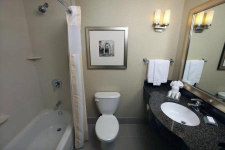 Hilton Garden Inn South - 9