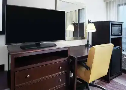 Hampton Inn Dallas-Irving-Las Colinas - 54