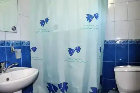 Фелис - 7