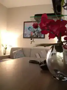 Villa d'Elsa - 84