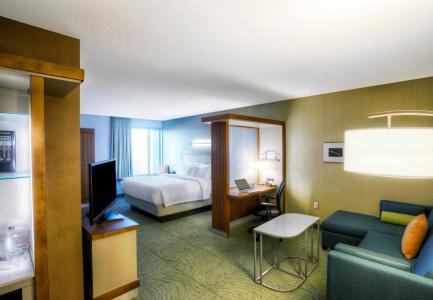 SpringHill Suites by Marriott - 19