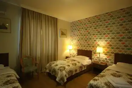 Martvili Palace - 6