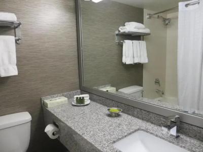 Toronto Don Valley and Suites - 92