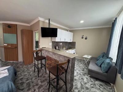 Ersoy Ege Apart Otel - 93