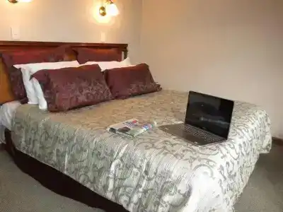 Distinction Coachman, - 46