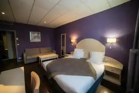 Logis Darcy Dijon Centre - 23