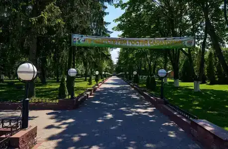 Случь - 9