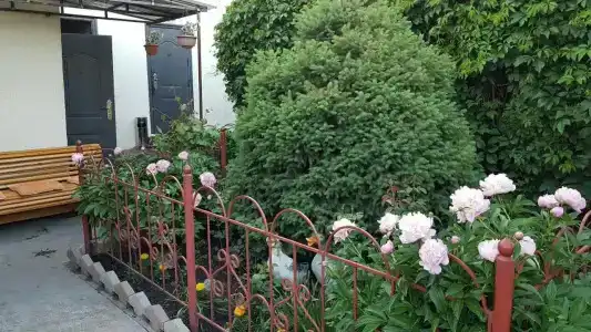 Домашний уют - 12