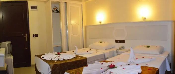 Green Palm - 25