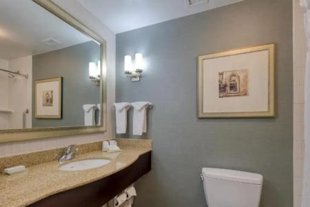 Hilton Garden Inn Southpoint - 67