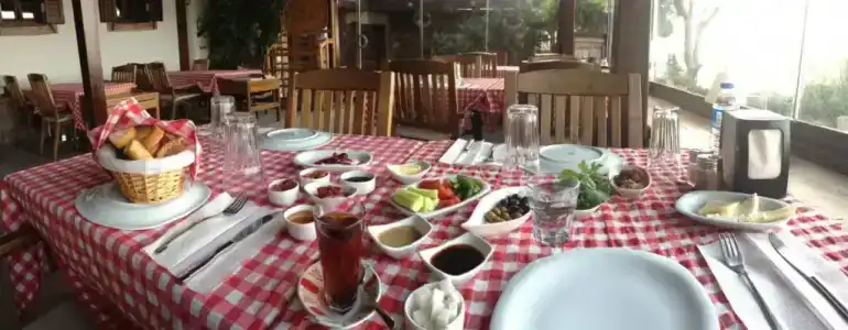 Aliye Hanim - 17