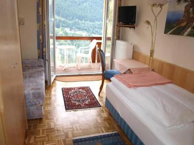 Alpenblick - 34