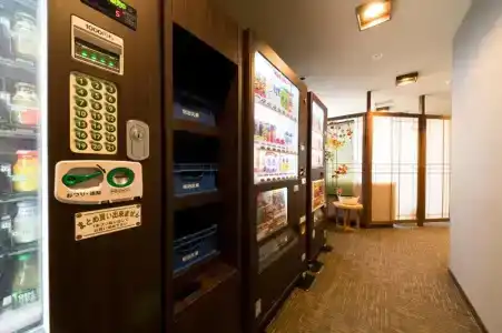 Dormy Inn Express Kakegawa - 13