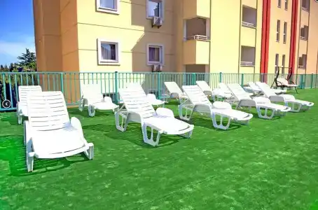Цитрус - 6