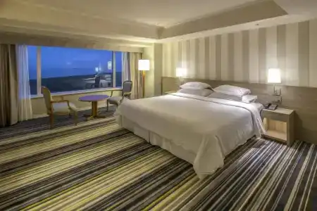 Sheraton Grande Ocean Resort - 104