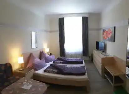 Pension Haus am Waldesrand - 16