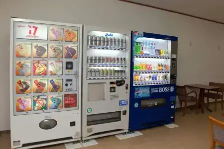 Kansai - 11