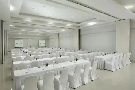 Zizz Convention - 6
